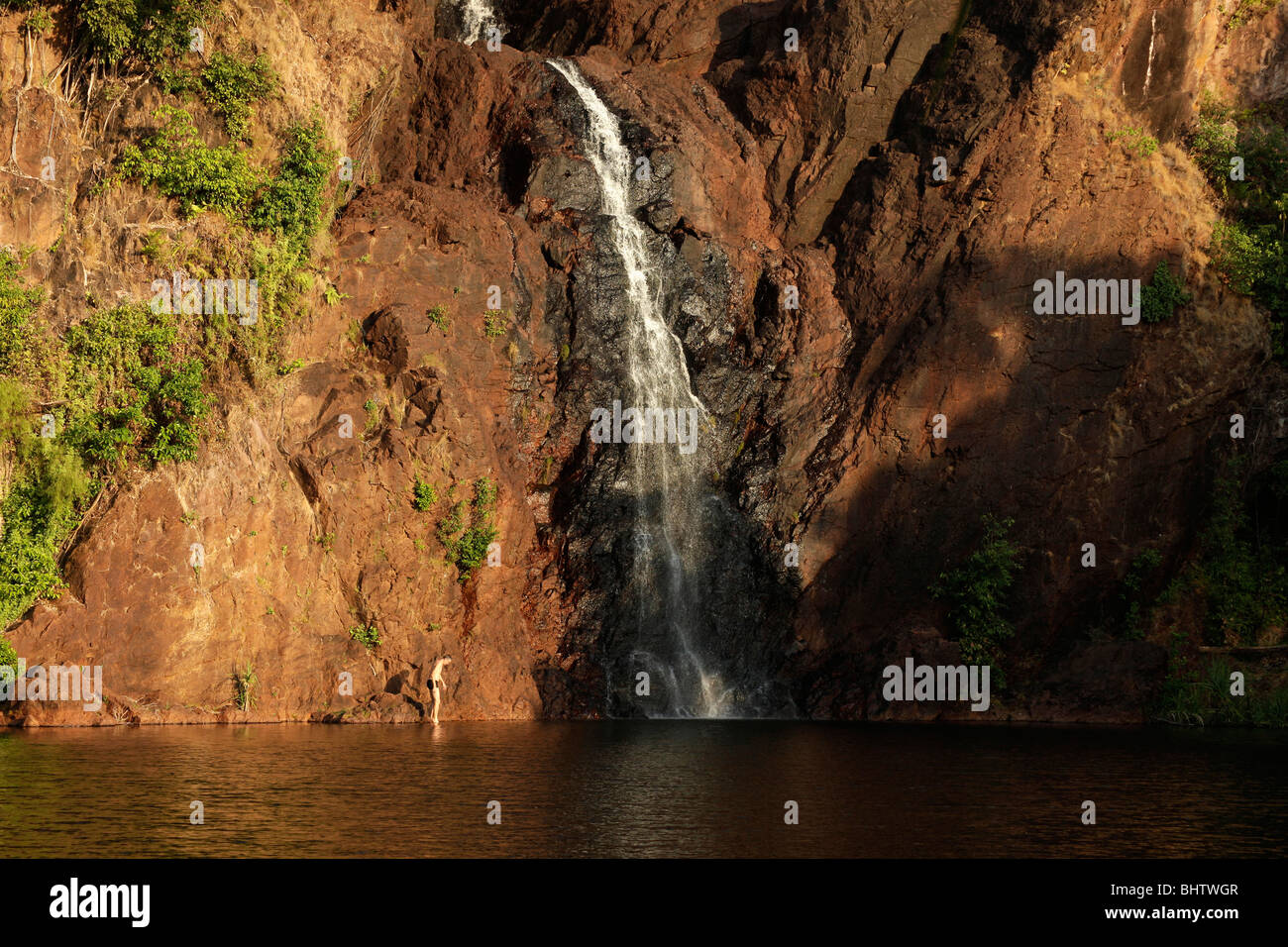 I turisti nuoto a Wangi Falls - Litchfield Nationalpark, Territorio del Nord, l'Australia Foto Stock