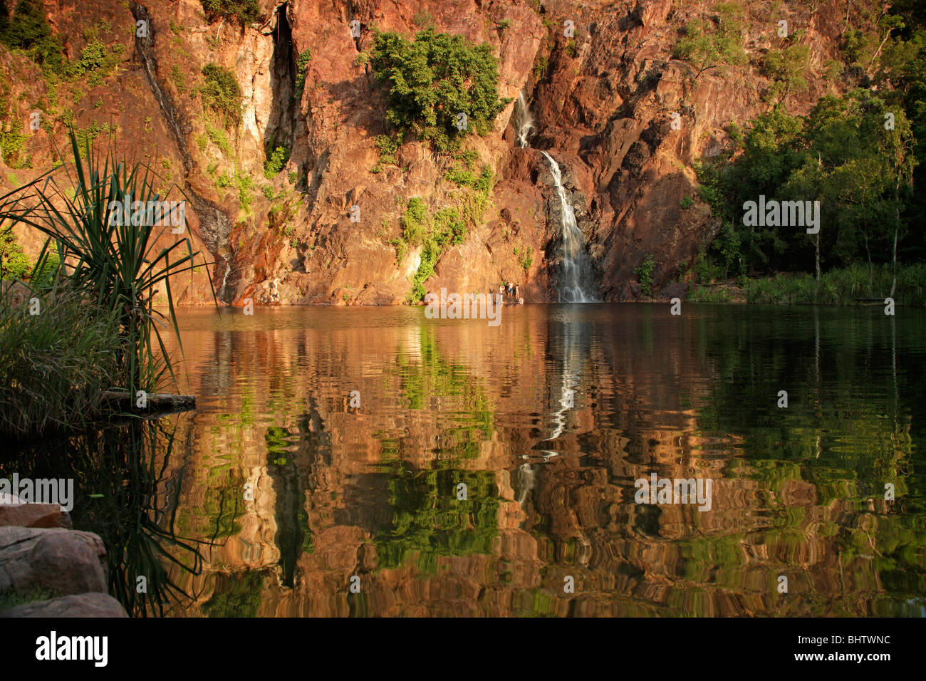 I turisti a Wangi Falls - Litchfield Nationalpark, Territorio del Nord, l'Australia Foto Stock