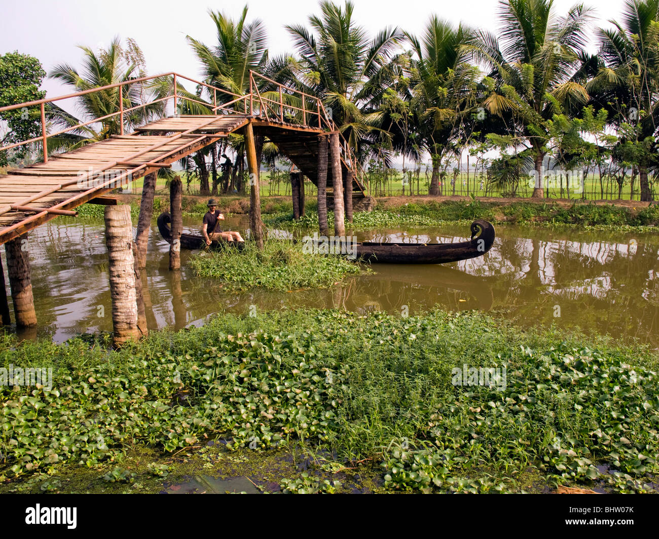 India Kerala, Alappuzha, Chennamkary, visitatore occidentale paddling canoe di legno attraverso backwaters Foto Stock