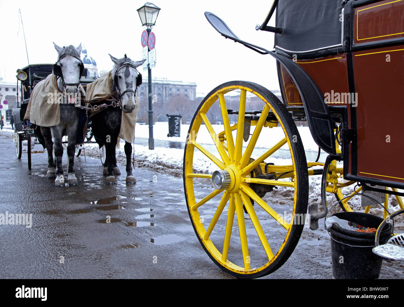 Un tradizionale Cavallo e Carrozza a Vienna Austria Europa Foto Stock