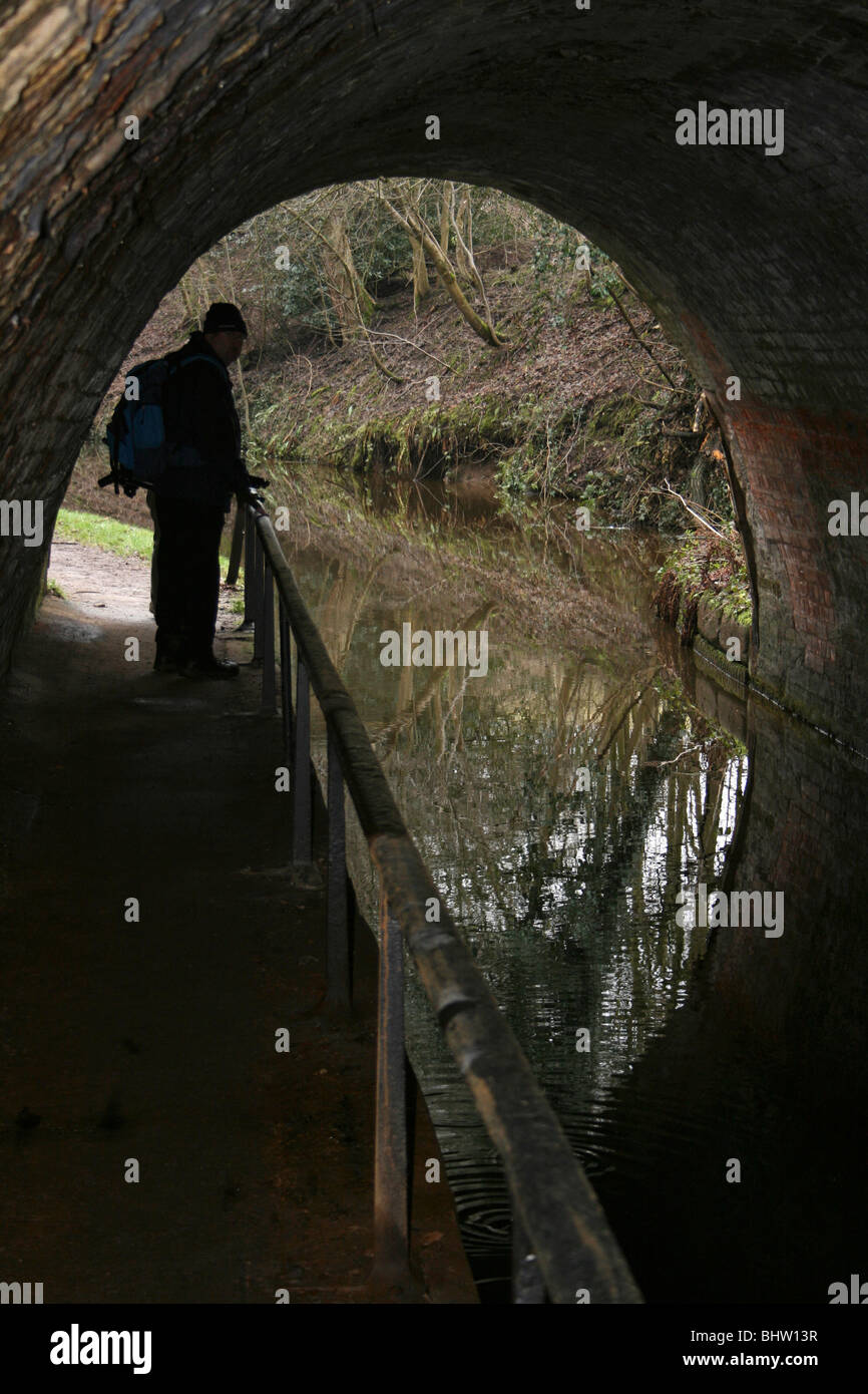 Ellesmere Tunnel sulla sezione di Llangollen del Shropshire Union Canal Foto Stock