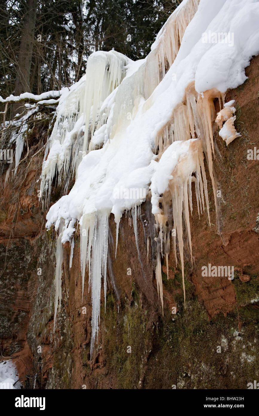 Formazioni su cascate di ghiaccio sul fiume Brasla scogliere in Gauja National Park in Vidzeme Lettonia Foto Stock