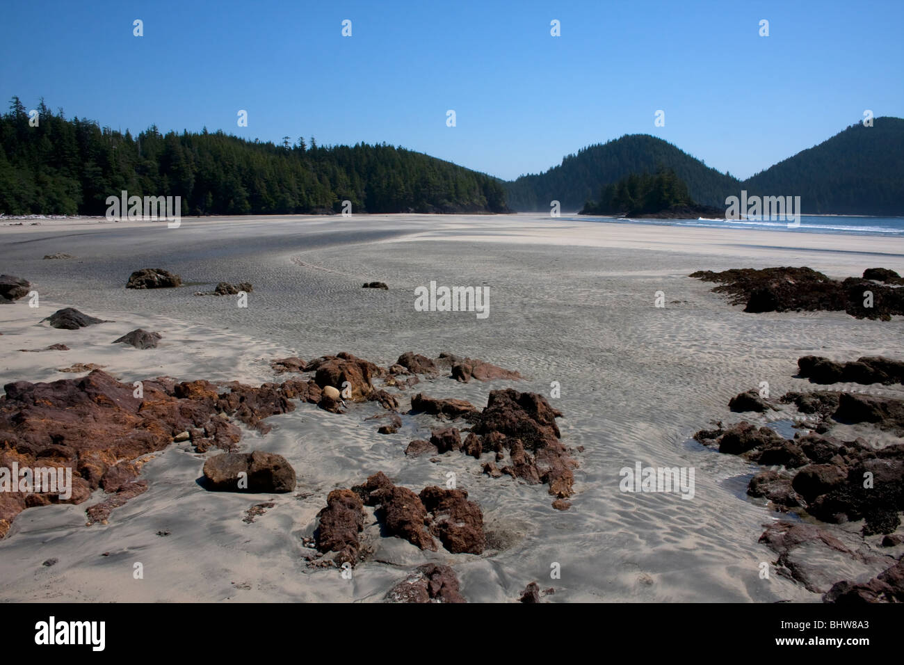 Una spiaggia deserta di scena a san Josef Bay Isola di Vancouver BC Canada in luglio, avvicinato attraverso Cape Scott parco provinciale Foto Stock