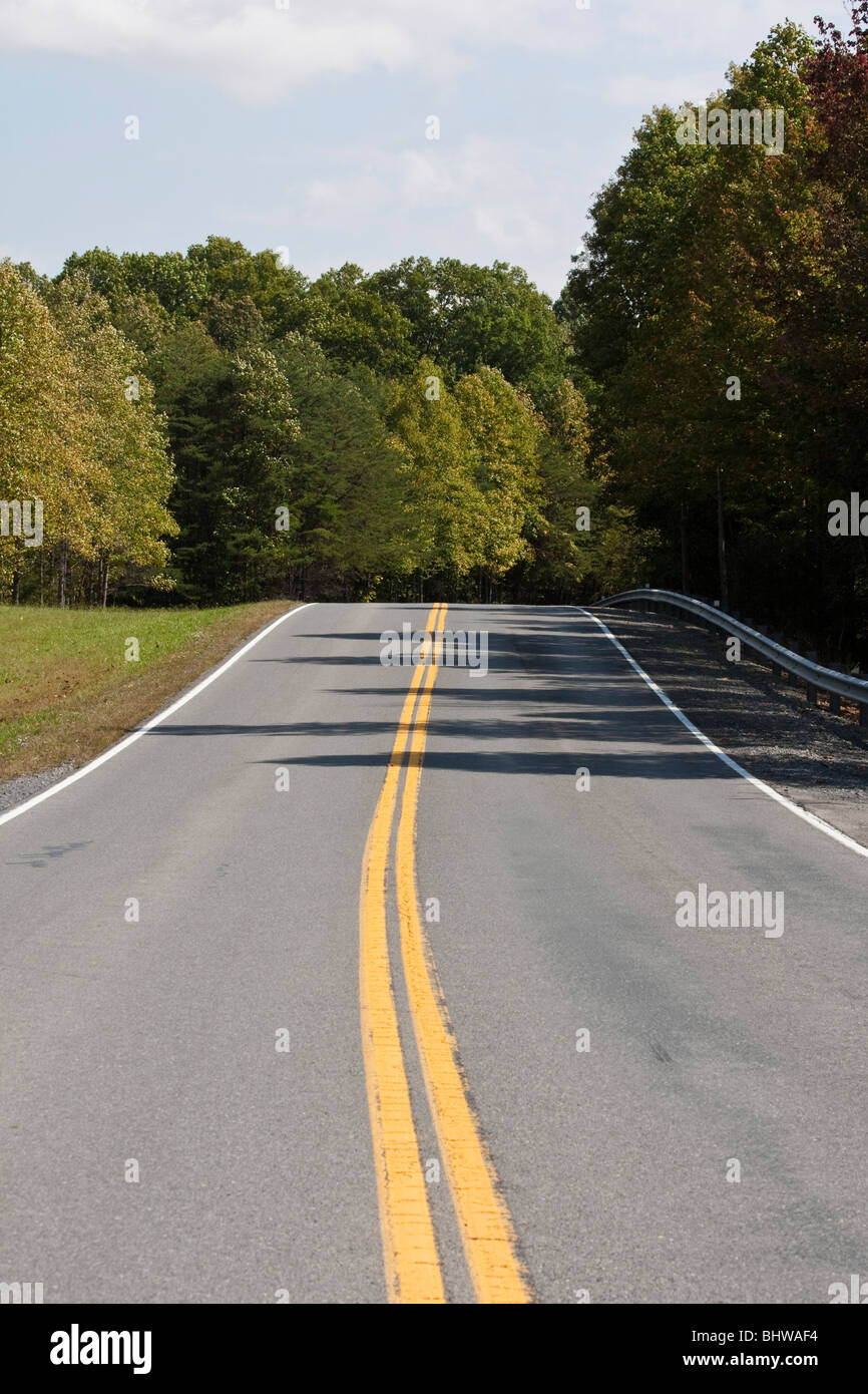 Summersville Lake West Virginia negli Stati Uniti Nord America dall'alto, una strada di campagna con paesaggio verde nessuno ravvicinare vuoto verticale ad alta risoluzione Foto Stock