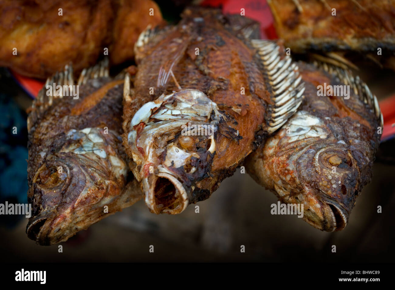 Cuocere Il Pesce Persico Del Nilo Uganda Foto Immagine Stock