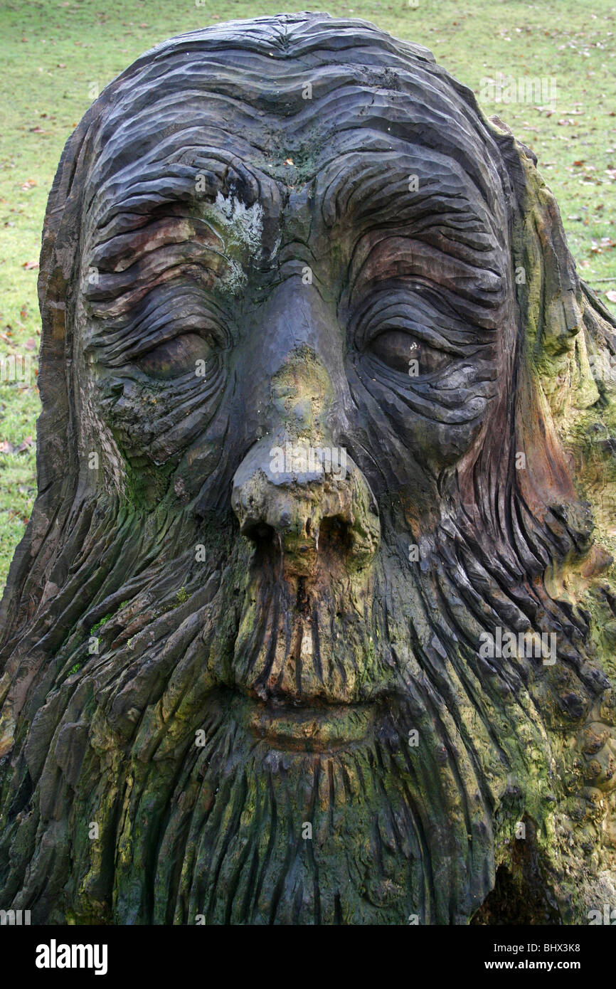 Scolpiti in legno vecchio sia in testa Sefton Park, Merseyside, Regno Unito Foto Stock