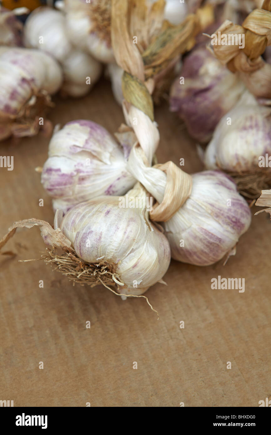 Aglio secco Foto Stock