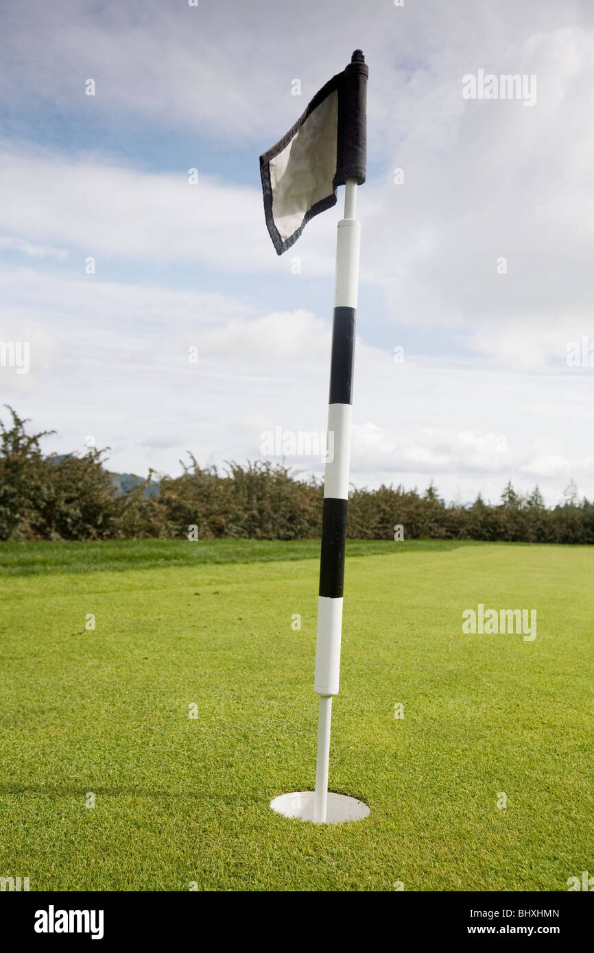 Bandiera su un putting green Foto Stock