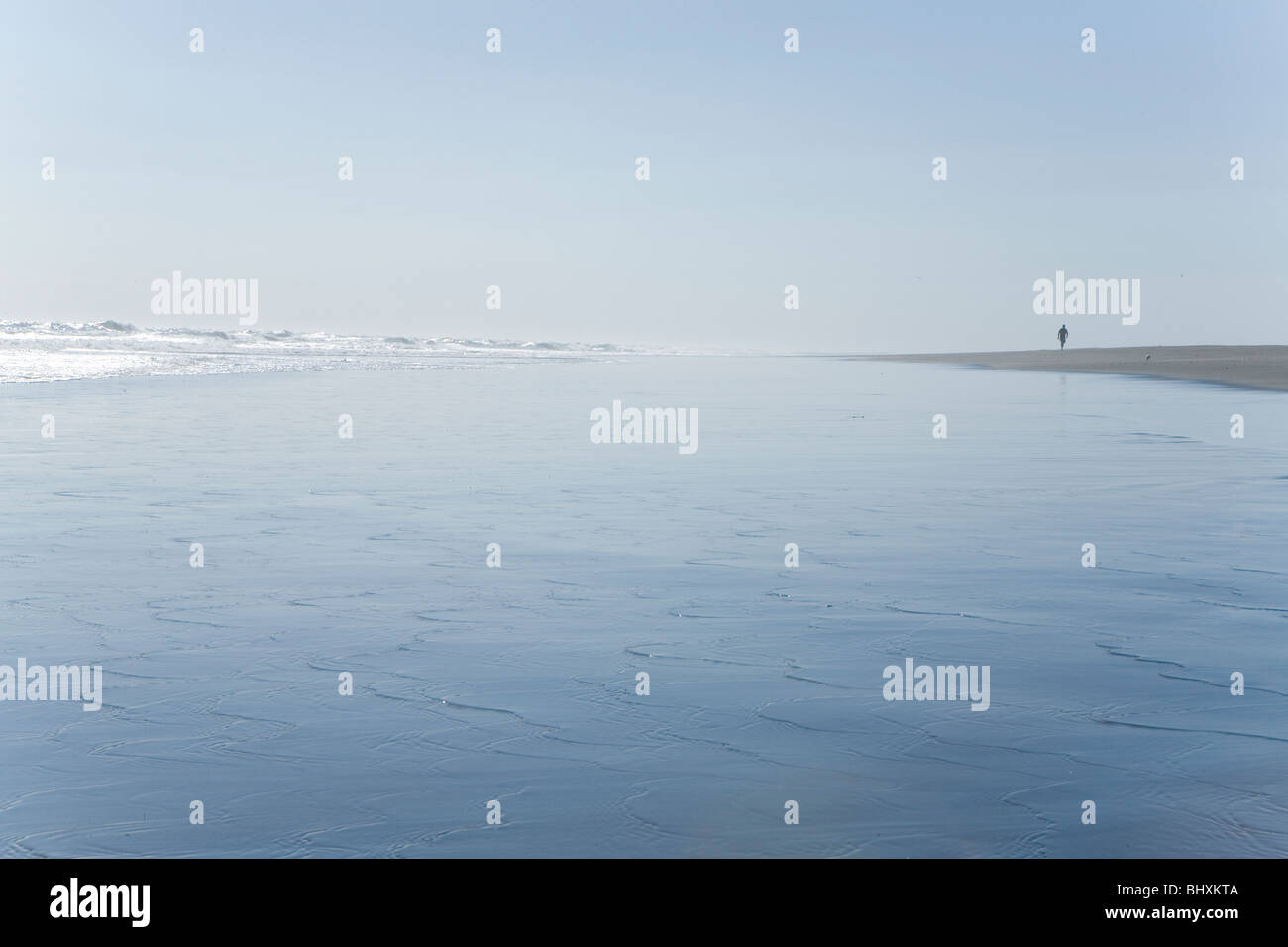 L uomo si prende una passeggiata sulla spiaggia Whatipu, Nuova Zelanda Foto Stock