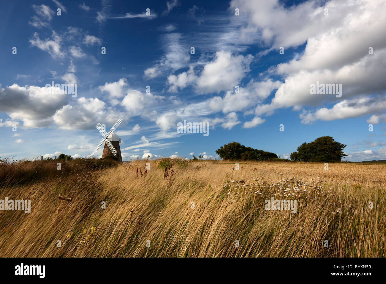 Il mulino a vento di Halnaker standing in alto sulla cima di una collina South Downs National Park Foto Stock
