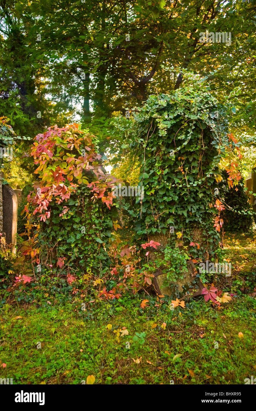 Autunno presso il cimitero centrale di Vienna, Austria, Euope Foto Stock