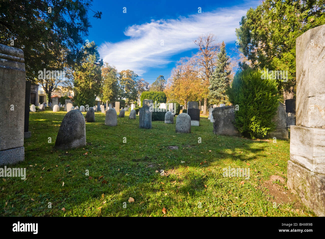 Autunno presso il cimitero centrale di Vienna, Austria, Euope Foto Stock