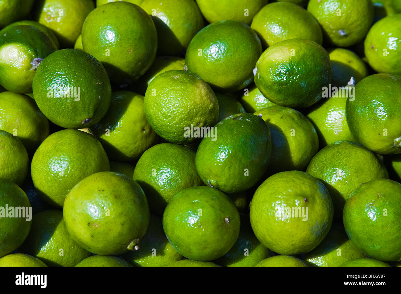 limettas Foto Stock