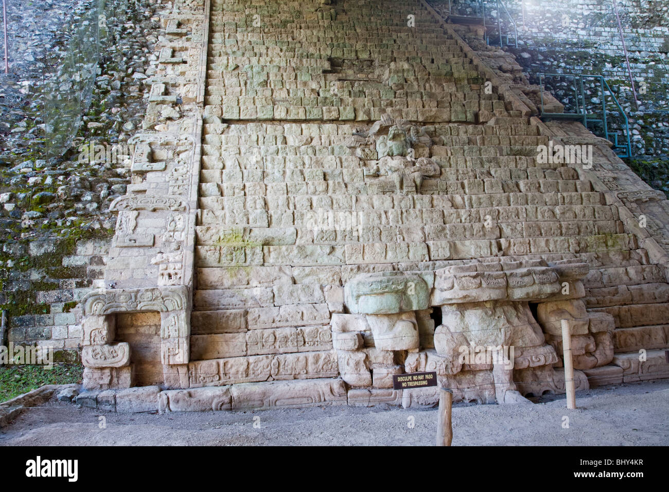 Escalinata Jeroglifica, scala geroglifica, Copan Ruinas, Honduras Foto Stock