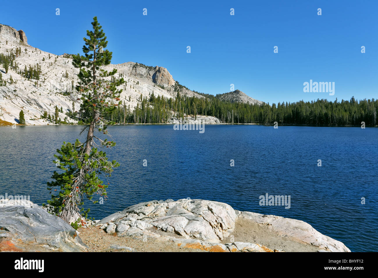 Luminose blu scuro può lago in montagna Yosemite Park negli Stati Uniti Foto Stock