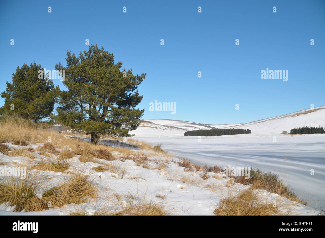 Scottish scena invernale di frozen backwaters serbatoio, Angus, Glen Isla. Foto Stock