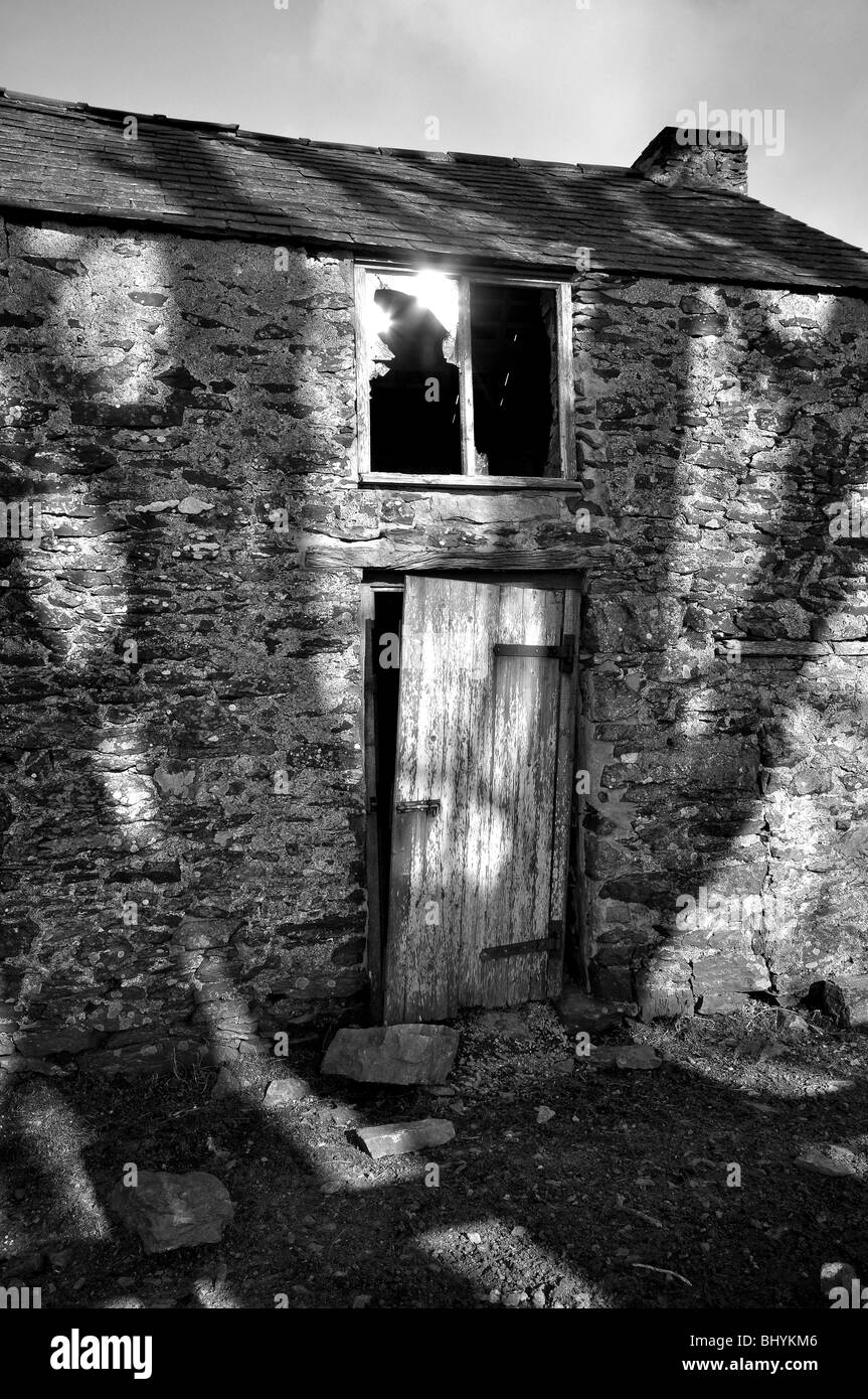 Vecchio eerie Welsh fienile con ombra di albero in bianco e nero Foto Stock