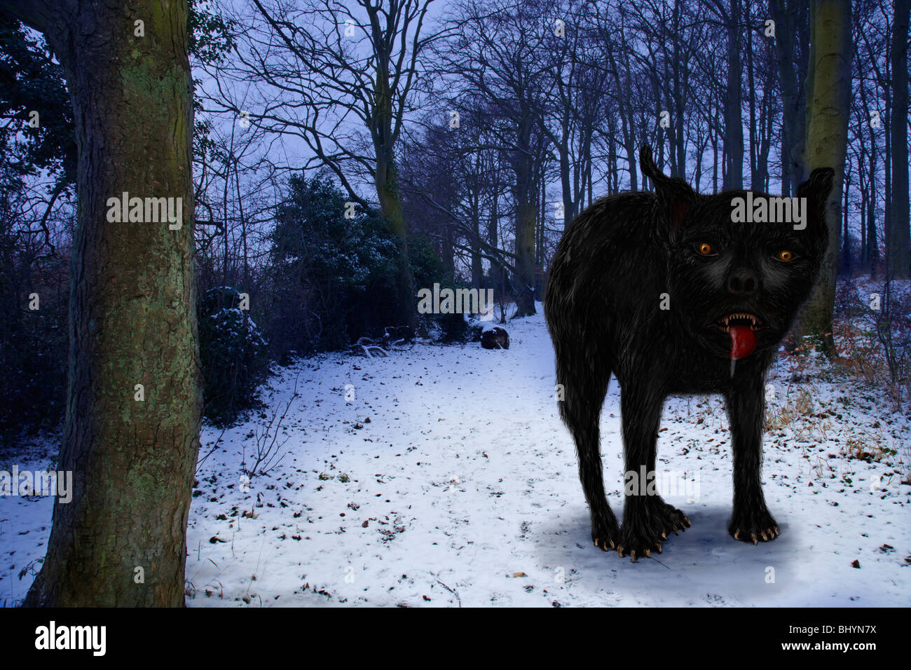 Il 'East Anglian' mitico enorme cane nero, noto come Black Shuck. Foto Stock