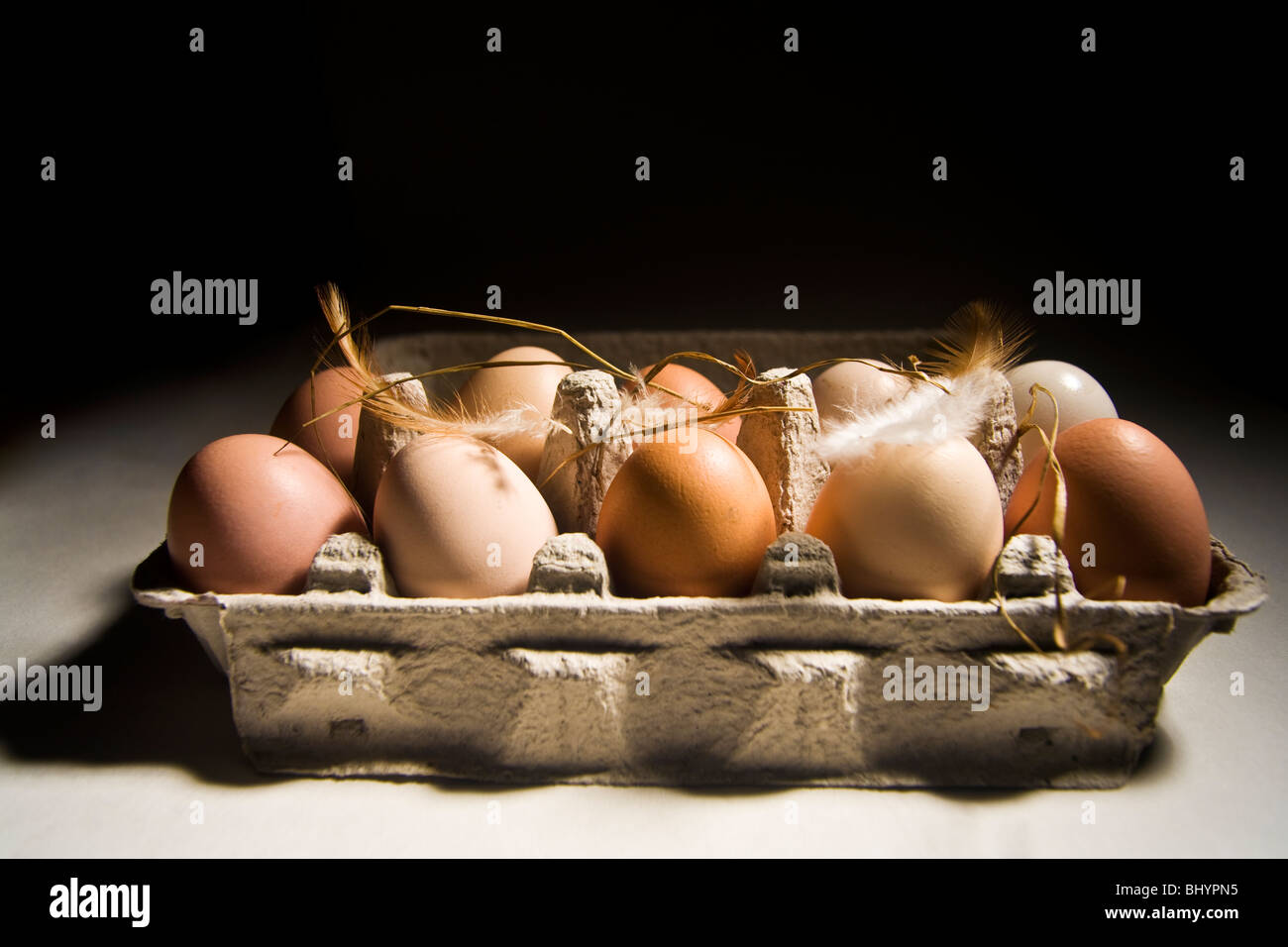 Le uova in un centro di imballaggio Foto Stock