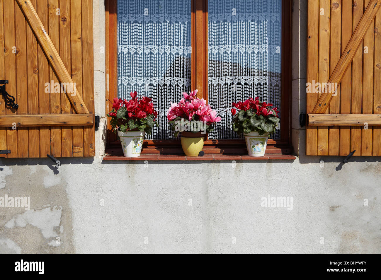 I fiori sul davanzale Foto Stock