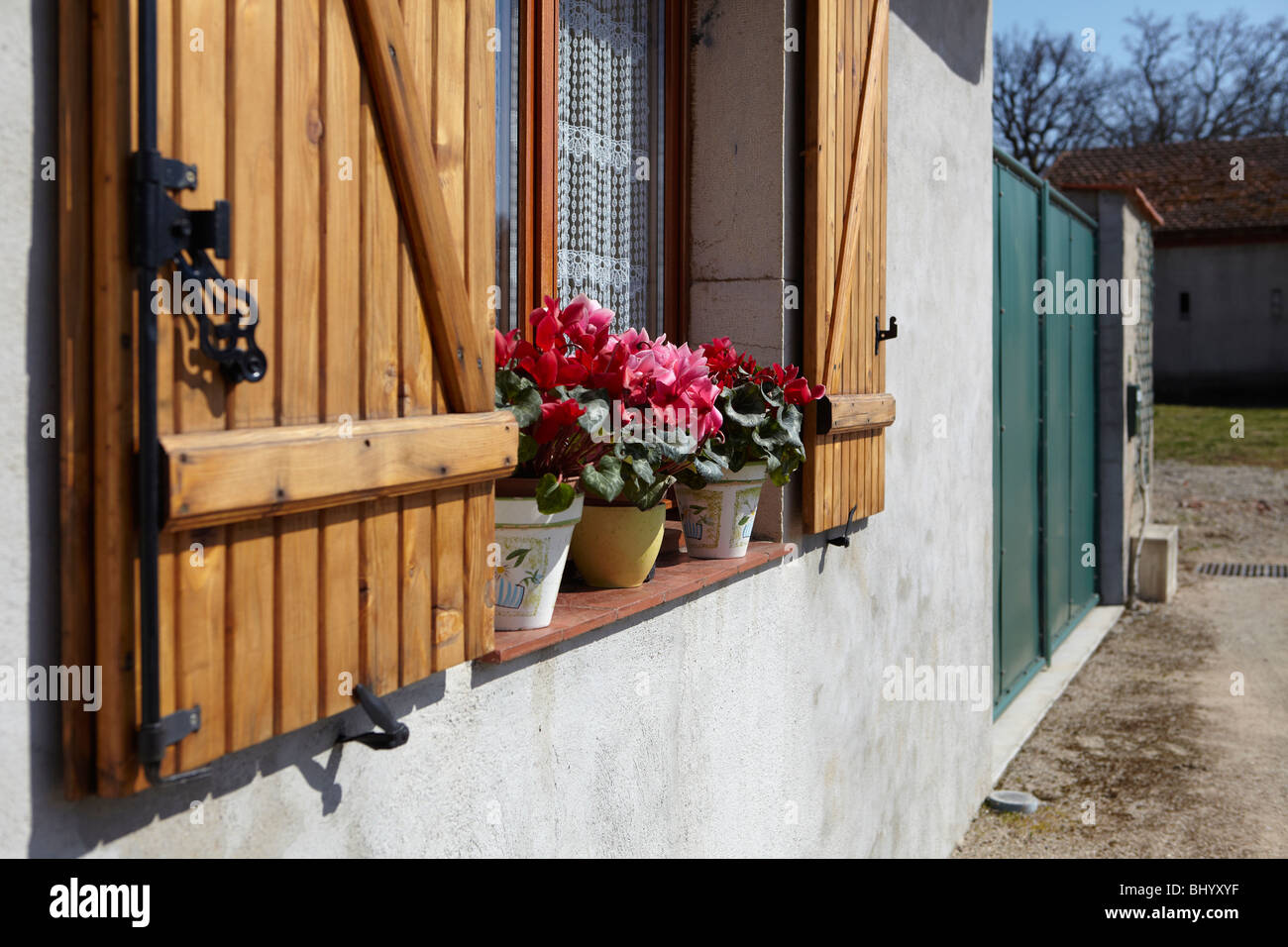 I fiori sul davanzale Foto Stock