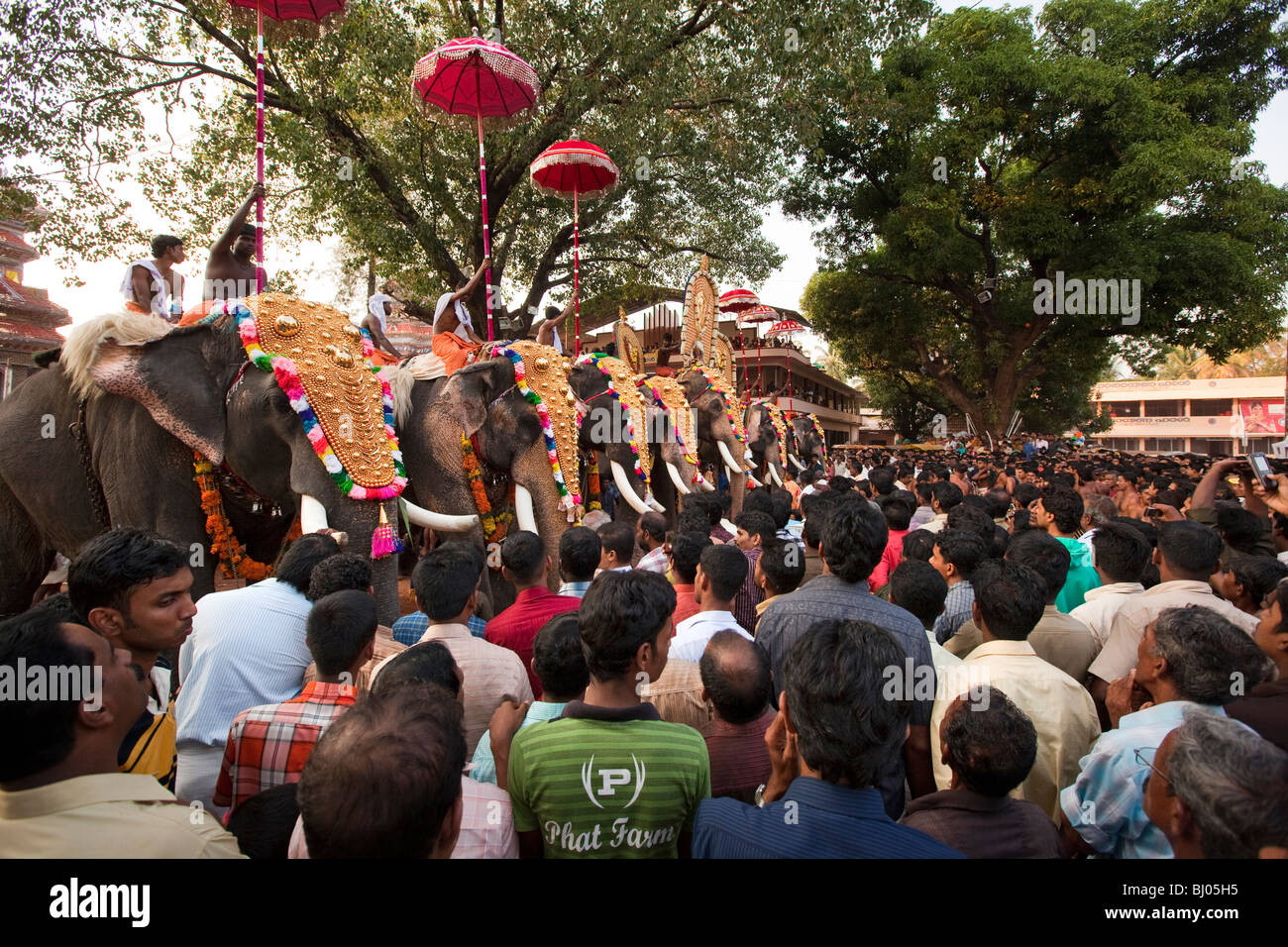 India Kerala, Koorkancherry Sree Maheswara tempio, Thaipooya Mahotsavam festival di linea 9 caparisoned tempio elefanti al tramonto Foto Stock