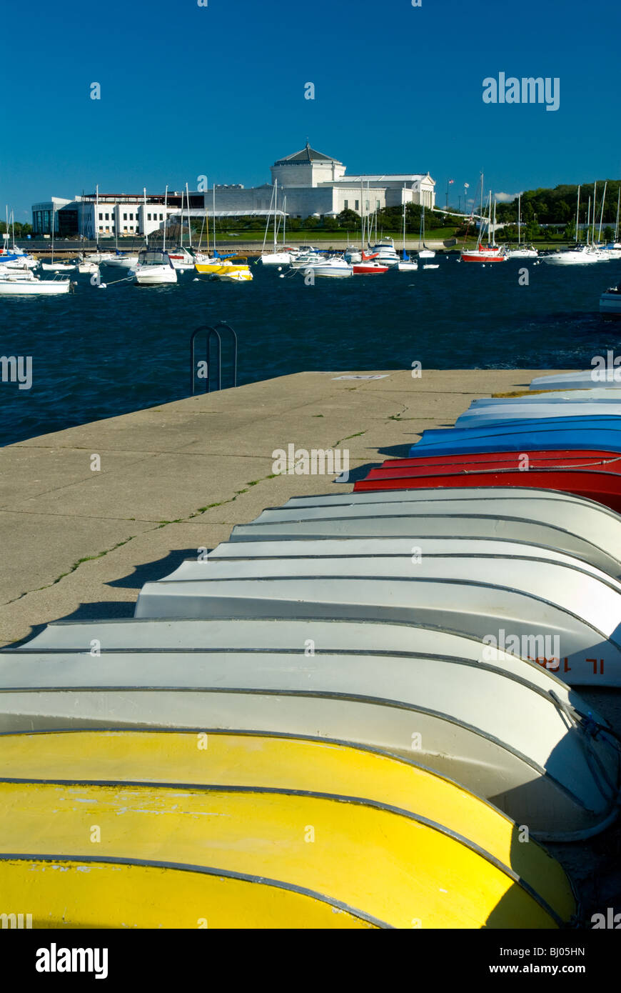 Shedd Aquarium sul lago Michigan, Chicago, Illinois. imbarcazioni a remi sulla riva. Foto Stock