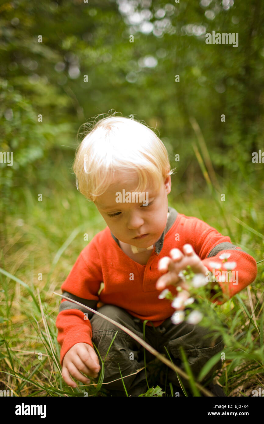Ragazzo giovane toccando i fiori nel bosco. Foto Stock