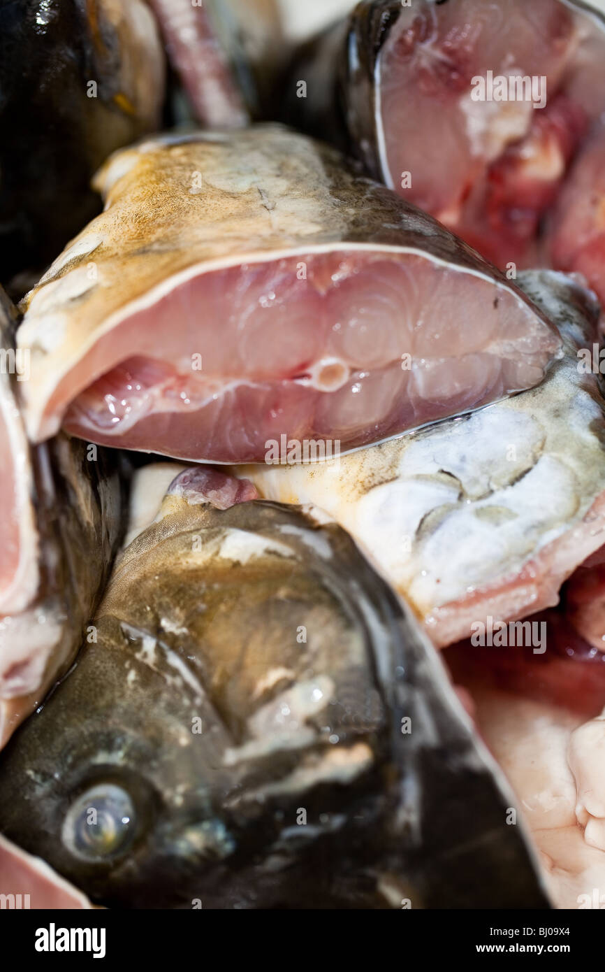 Teste di pesce crudo Foto Stock