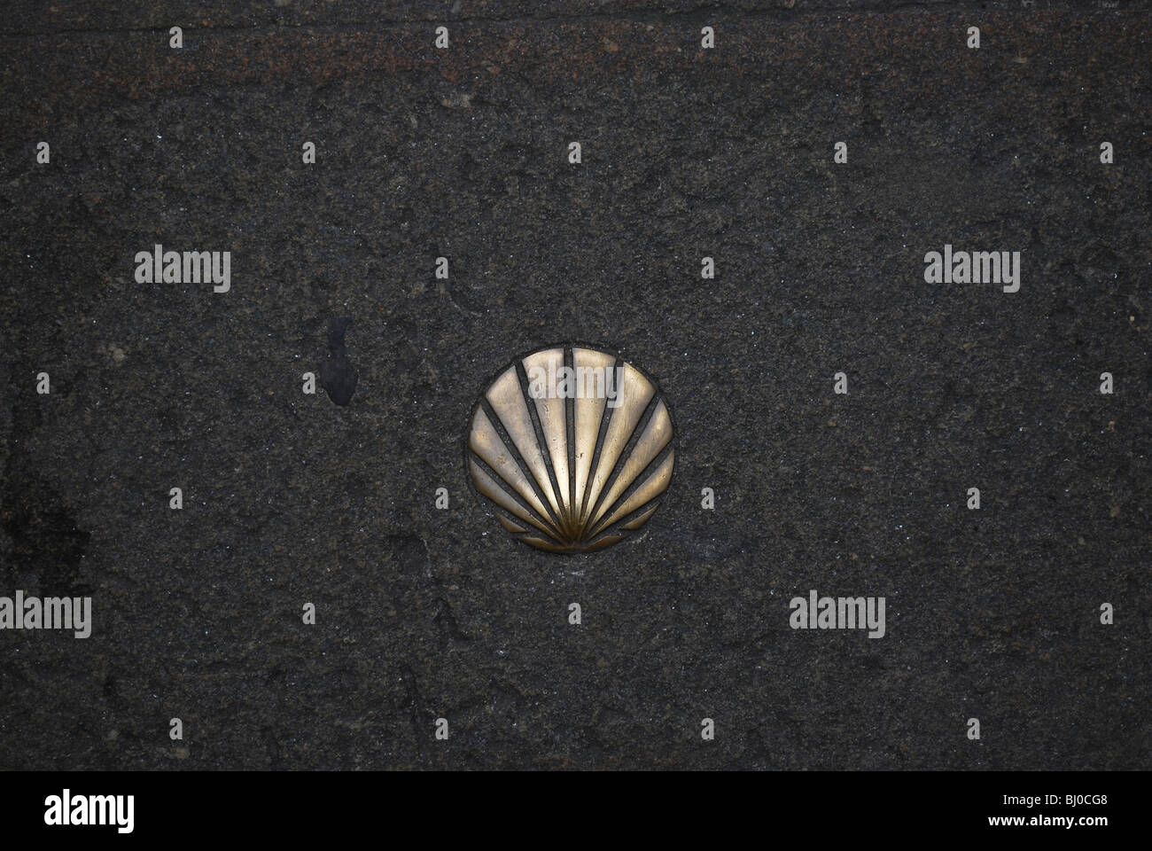 Smerlo shell nella pavimentazione in Santiago de Compostela Foto Stock