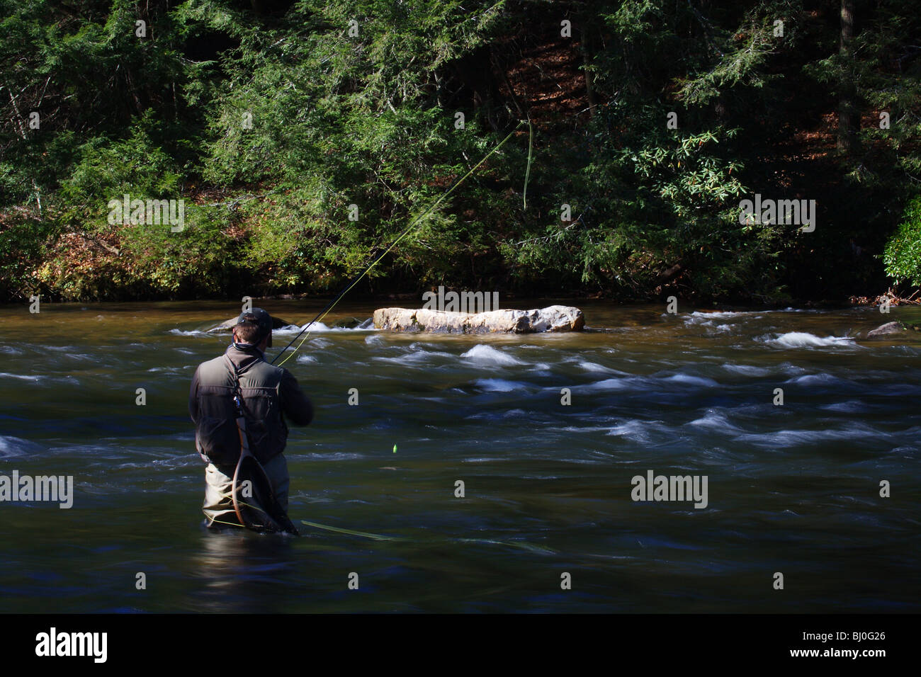 Pescatore a mosca LA PESCA IN rapida esecuzione di fiume in cerca di trota di fiume TOCCOA GEORGIA Foto Stock