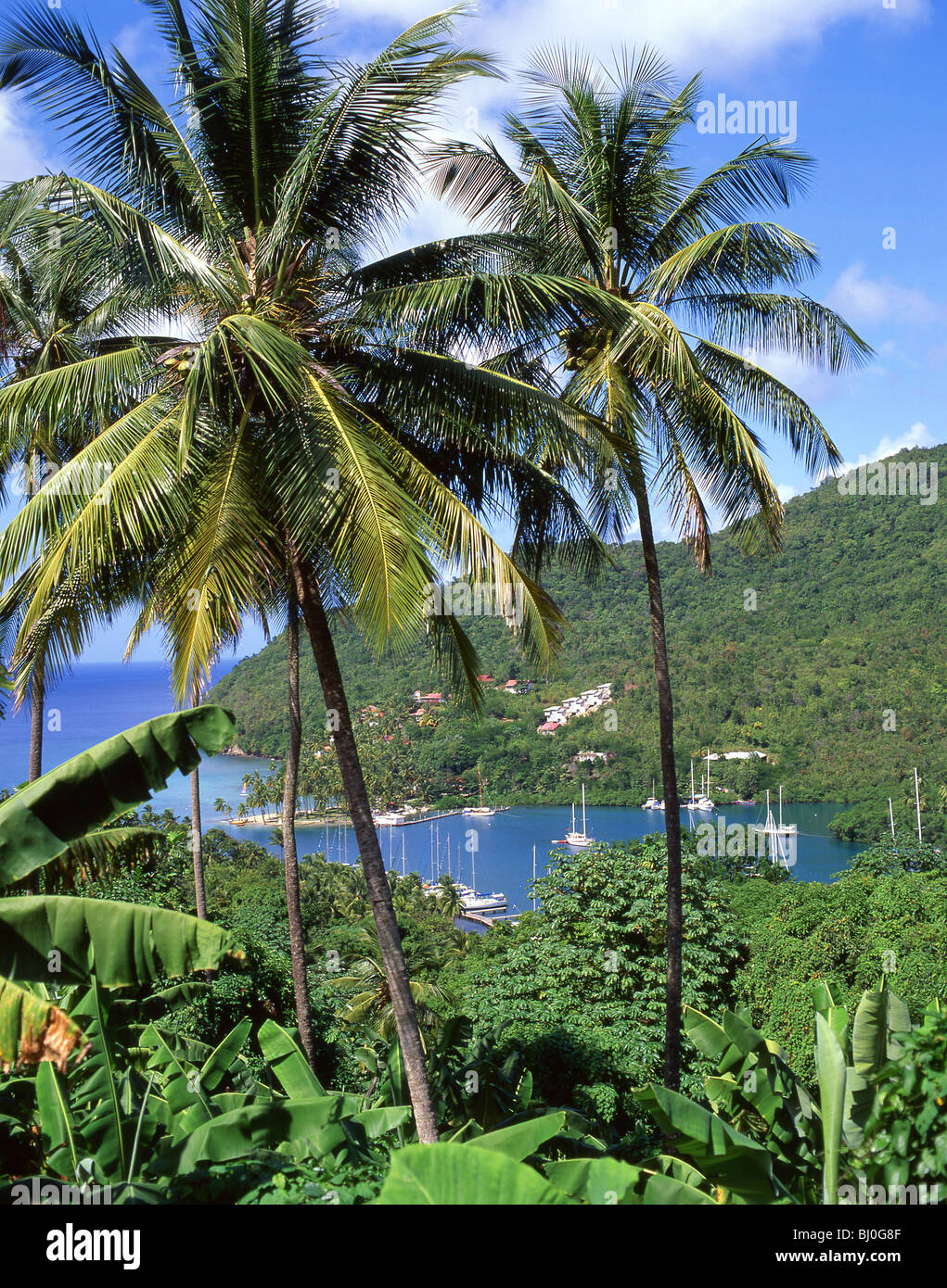 Marigot Bay, vicino a Castries, Castries trimestre, Saint Lucia, dei Caraibi Foto Stock