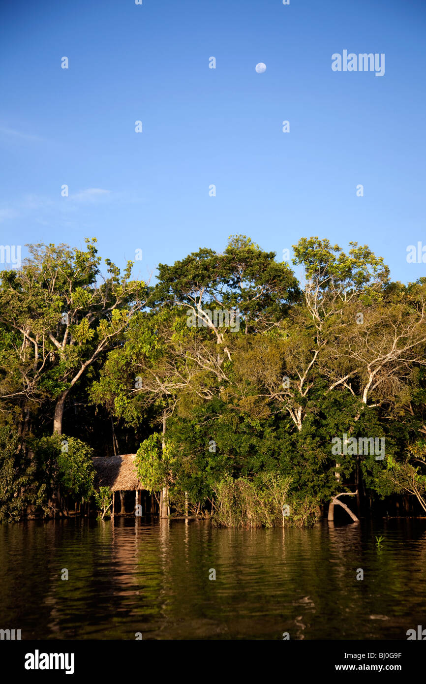 Lago Yarinacocha, una lanca vicino alla città amazzonica di Pucallpa in Perù centrale vicino al Rio Ucayali. Foto Stock