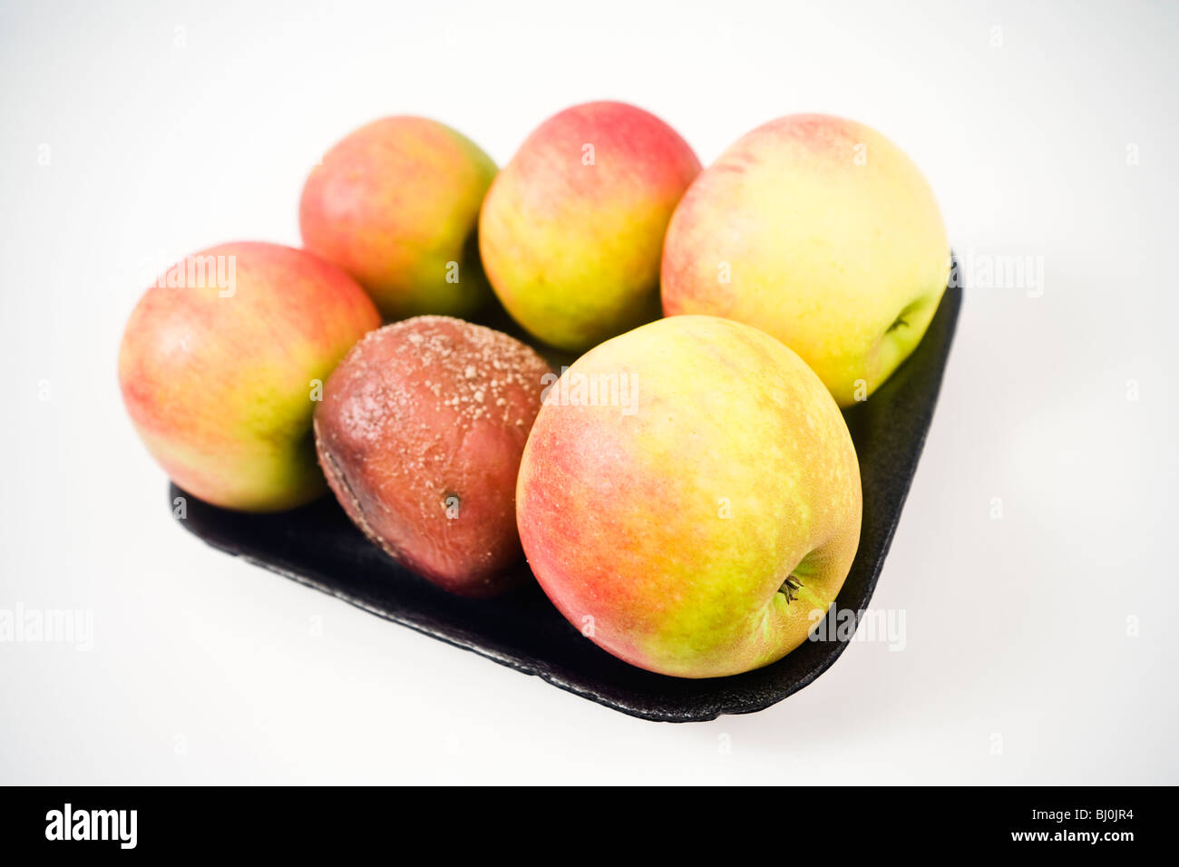 Più coccolati apple Foto Stock