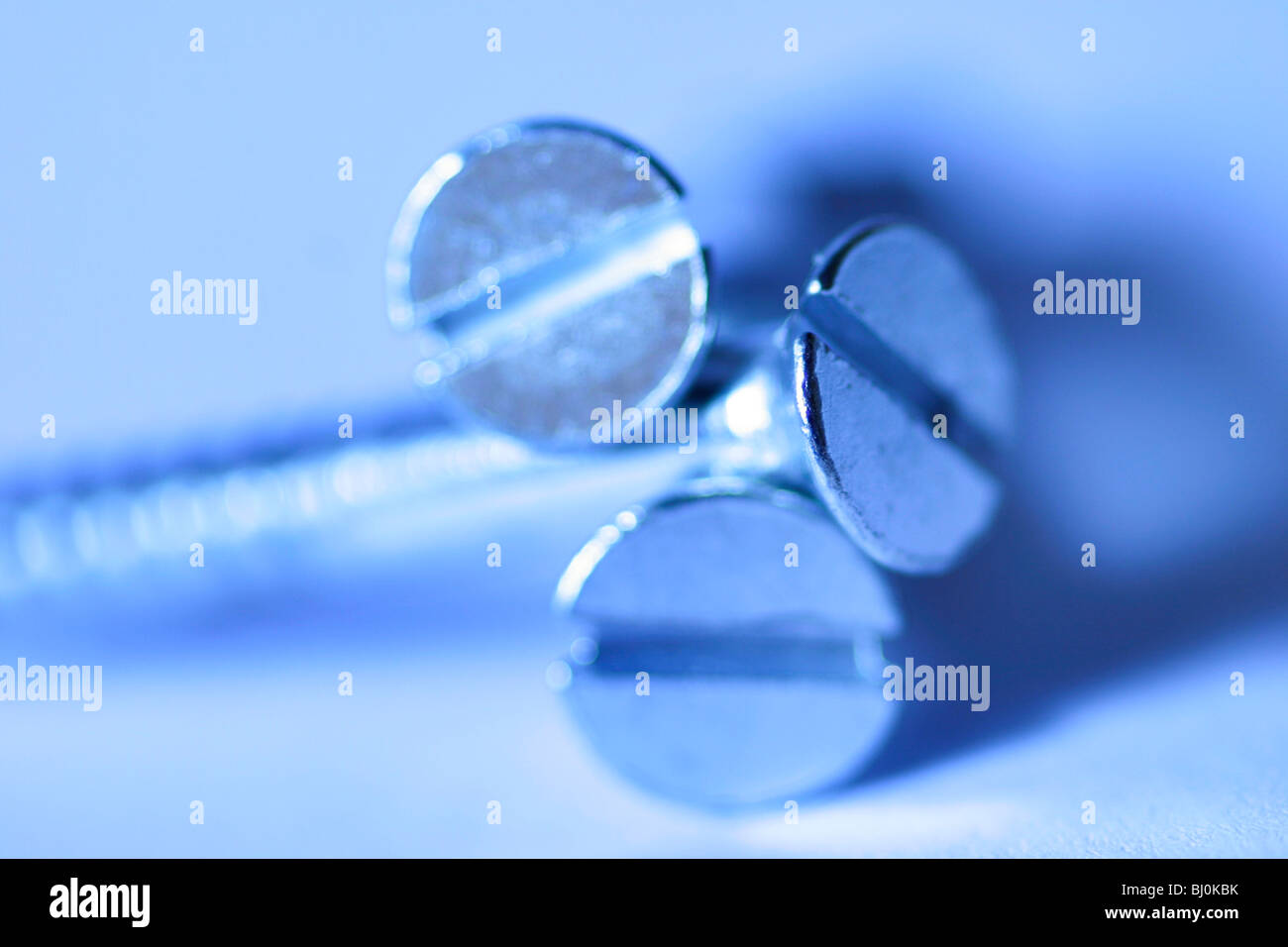 viti Foto Stock