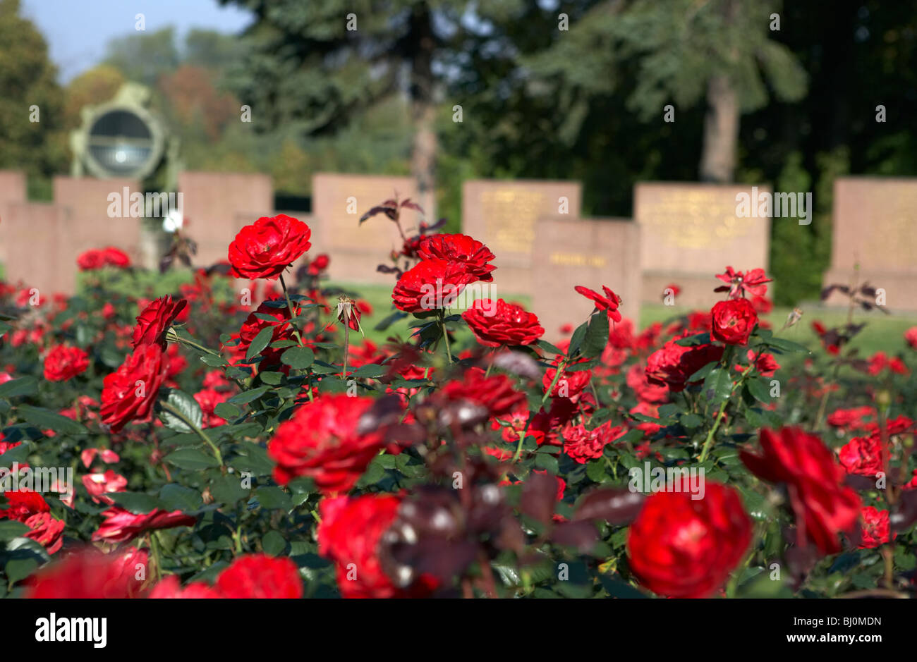 Sovietica cimitero militare sulle alture Seelow, Seelow, Germania Foto Stock
