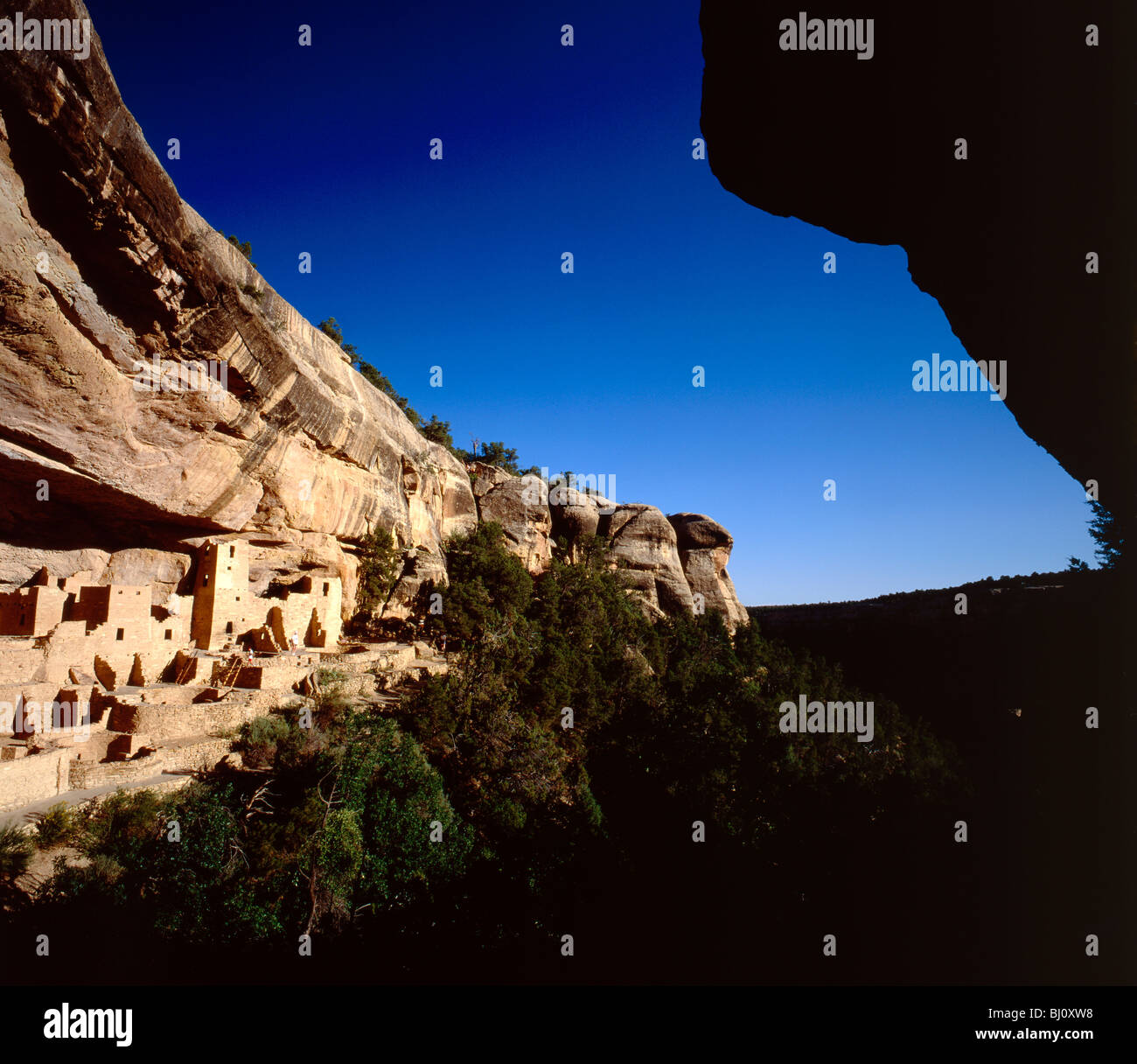 Cliff Palace, grande Anasazi cliff abitazione (c1200 AD), il Parco Nazionale di Mesa Verde, Colorado, STATI UNITI D'AMERICA Foto Stock