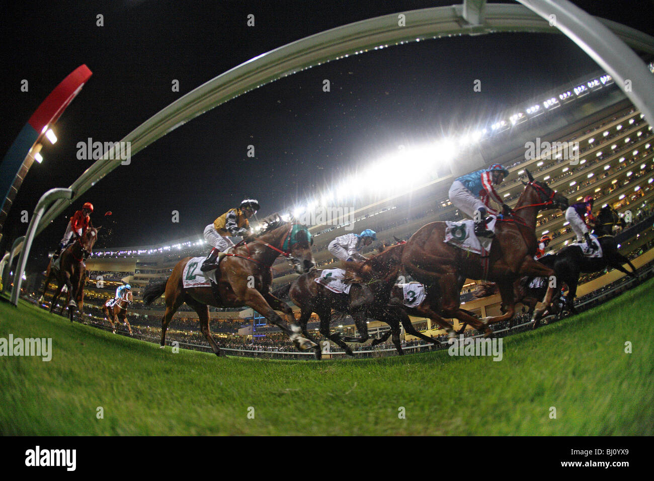 Cavalli e Cavalieri durante una gara, Hong Kong, Cina Foto Stock