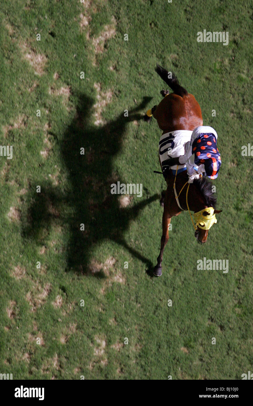 Vista aerea di un cavallo e un cavaliere al galoppo, Hong Kong, Cina Foto Stock