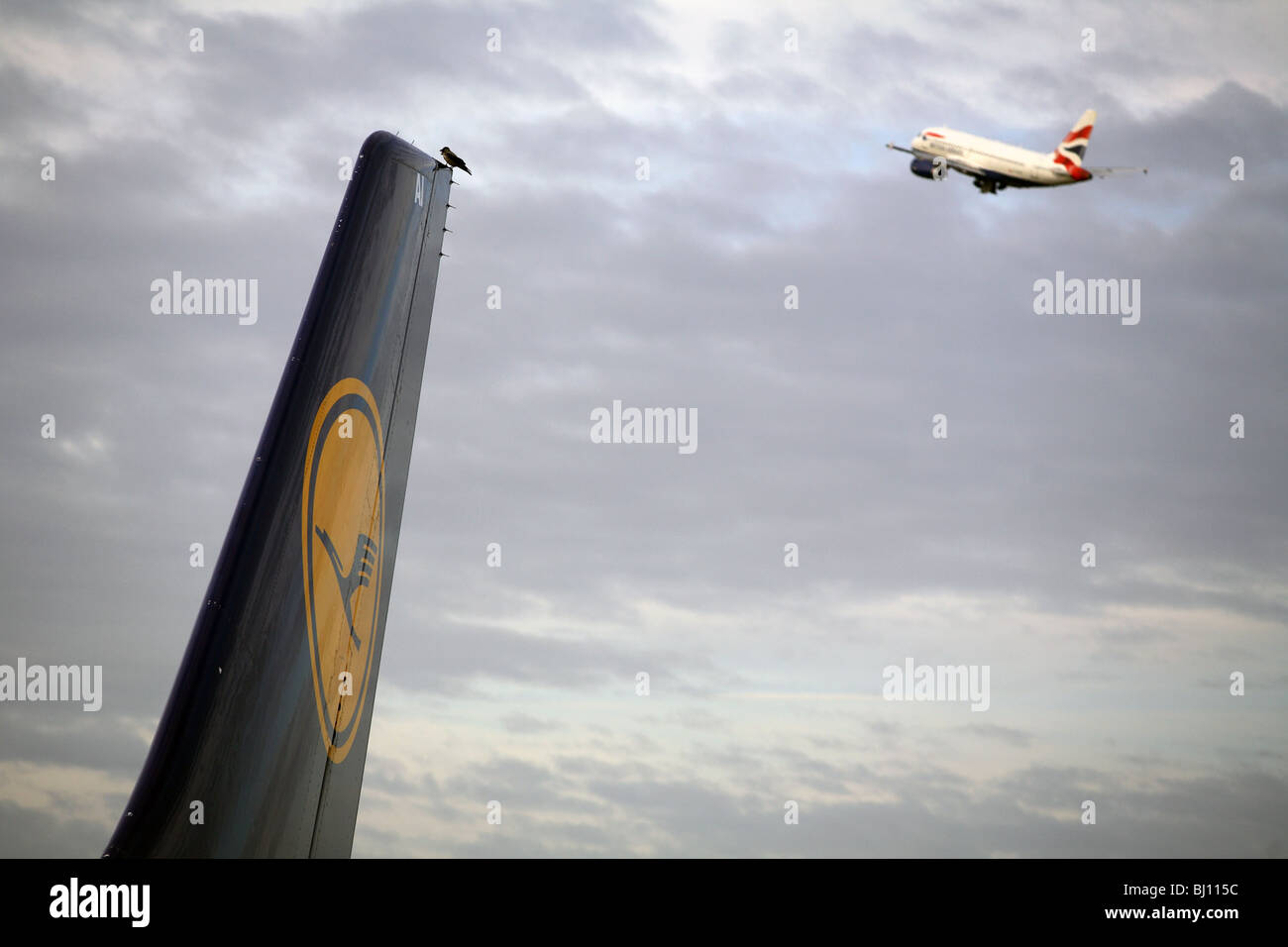 Pinna verticale di un aereo con il logo di compagnie aeree Lufthansa Foto Stock