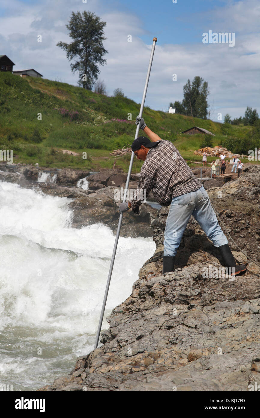 Le Prime Nazioni fisherman dipnetting per Salmone Chinook, Moricetown Falls, Bulkley river, British Columbia Foto Stock