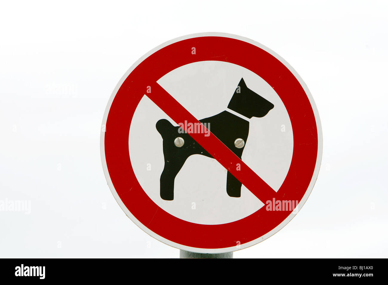 1.200 Vietato Lingresso Ai Cani Foto Stock, Immagini E Fotografie - Foto 9