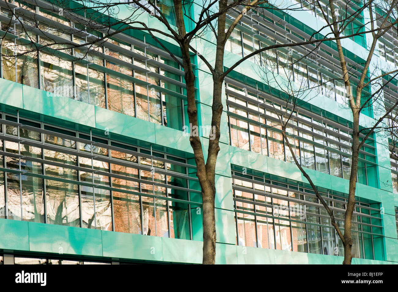 La moderna architettura di edifici per uffici a Fitzrovia vicino a Tottenham Court Road, W1, London, Regno Unito Foto Stock