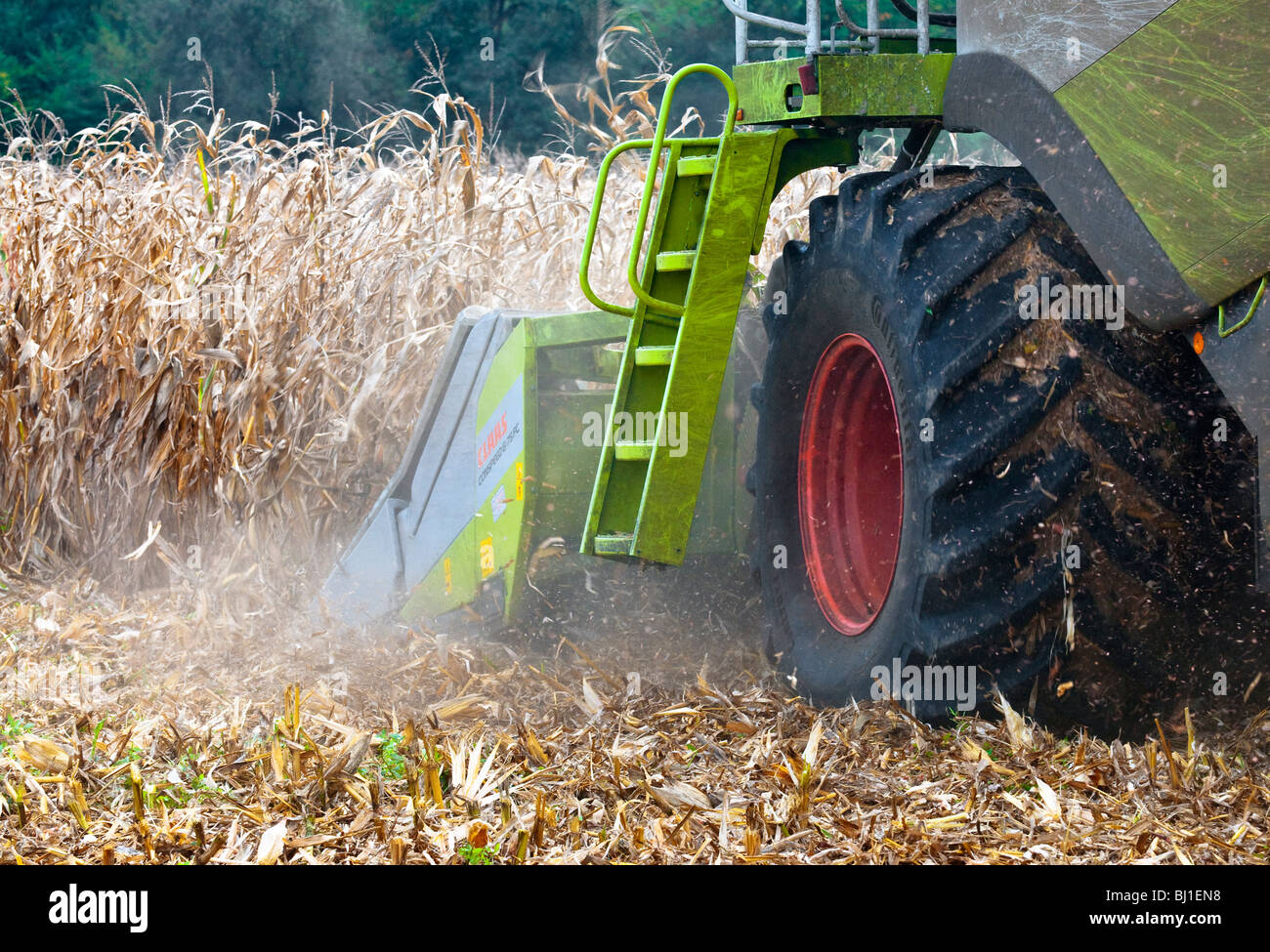 Claas Lexion 540 combinano la mietitura del mais / Mais dolce - Indre-et-Loire, Francia. Foto Stock