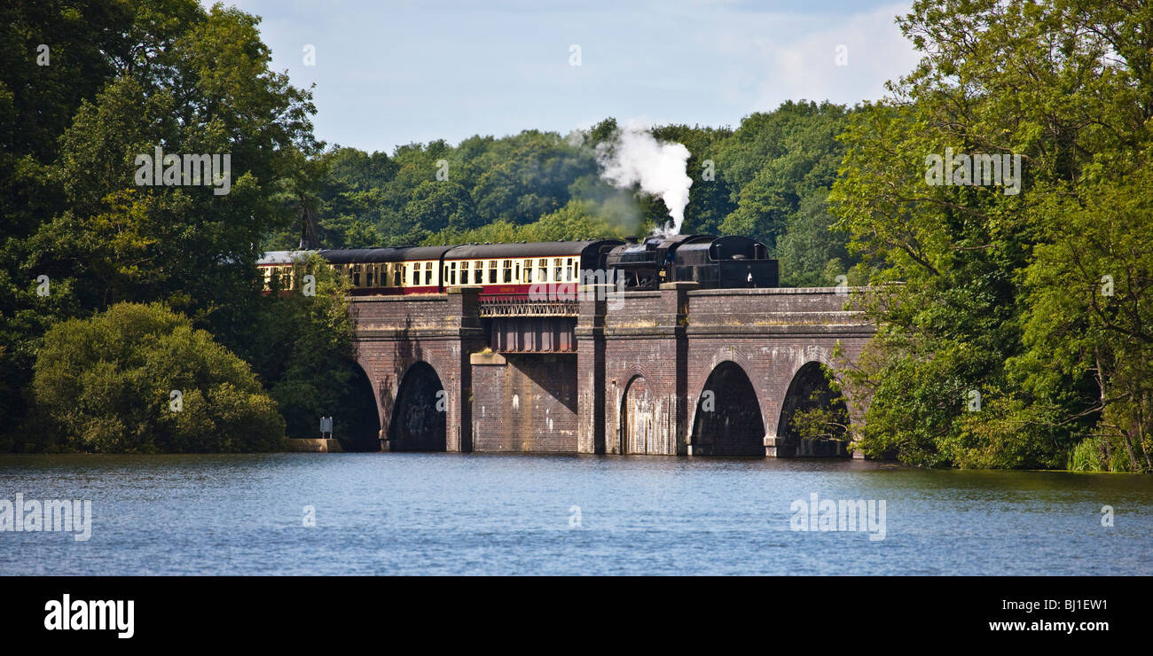 LMS 8F 48305 sul serbatoio Swithlnd viadotto, parte della Grande Stazione Centrale ferroviaria in Leicestershire Foto Stock