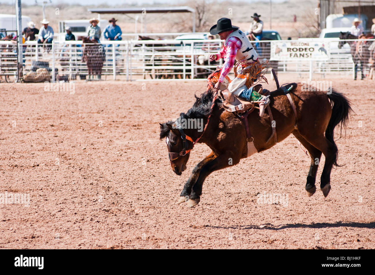 Un cowboy compete in sella bronc riding evento durante l'O'Odham Tash tutti-indian rodeo Foto Stock