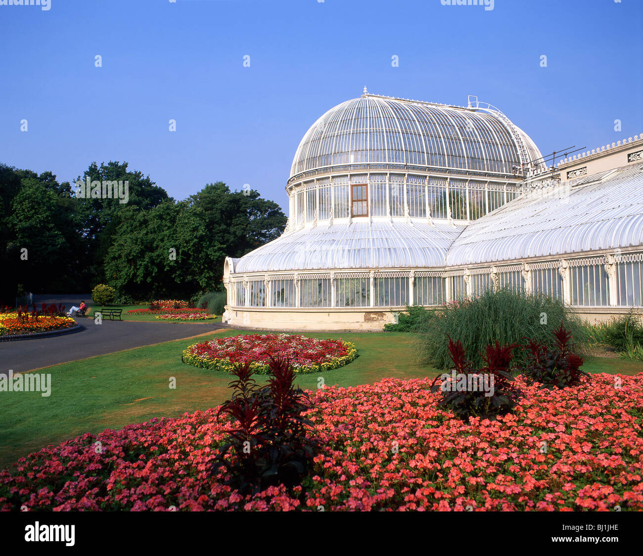 Il Palm House, Belfast Giardini Botanici, Botanic Avenue, Belfast, County Antrim, Irlanda del Nord, Regno Unito Foto Stock