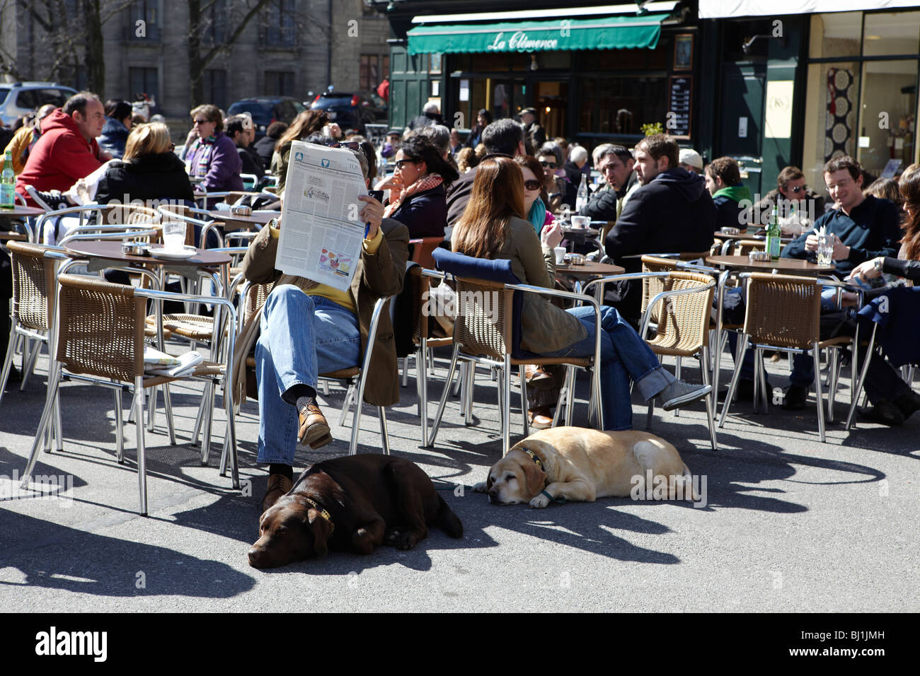 Cani e uomo leggendo un giornale in un momento di relax a una street cafe a Ginevra, Svizzera Foto Stock