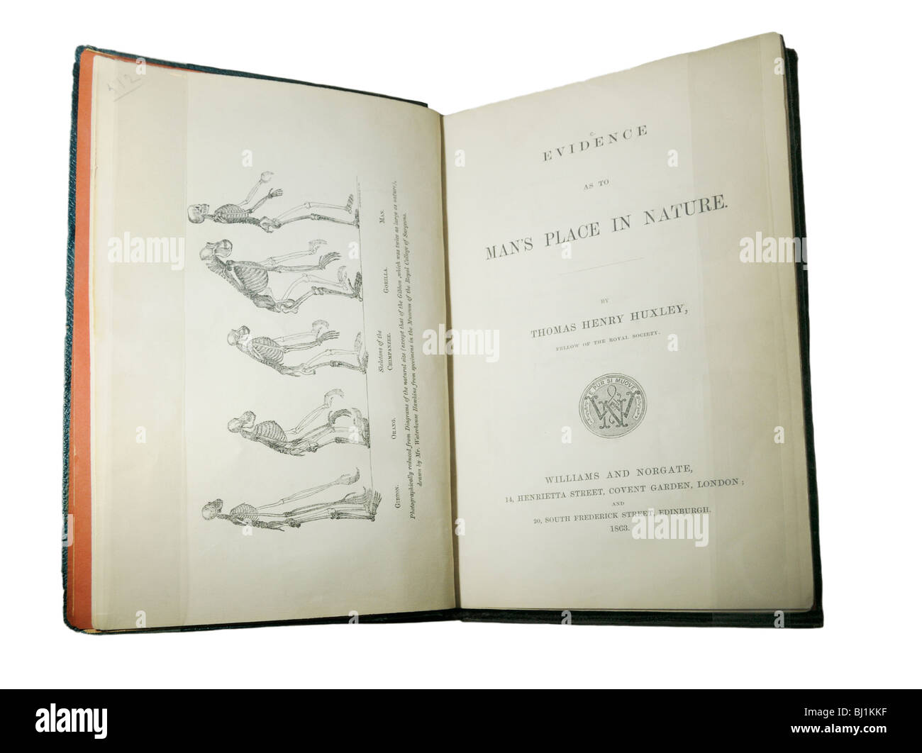 Prove sull'uomo nella natura, un libro sulla teoria evolutiva da T.H. Huxley dal 1863 Foto Stock