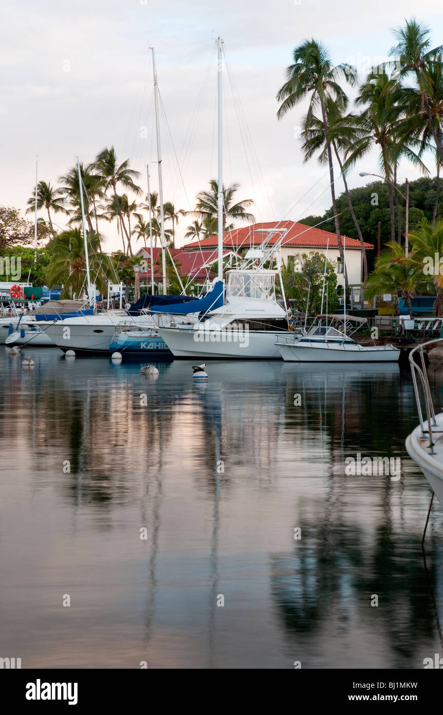 Lahaina Harbor, West Maui Hawaii che mostra un gioco grande di barche da pesca e le imbarcazioni da diporto, presa nelle prime ore del mattino Foto Stock